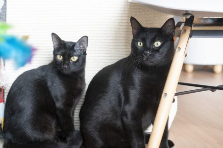 Lucia & Trece